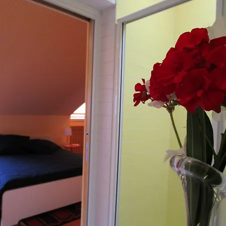 ベッド・アンド・ブレックファスト テオドーラ